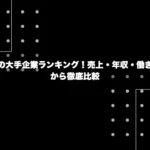 日本の大手企業ランキング (1)